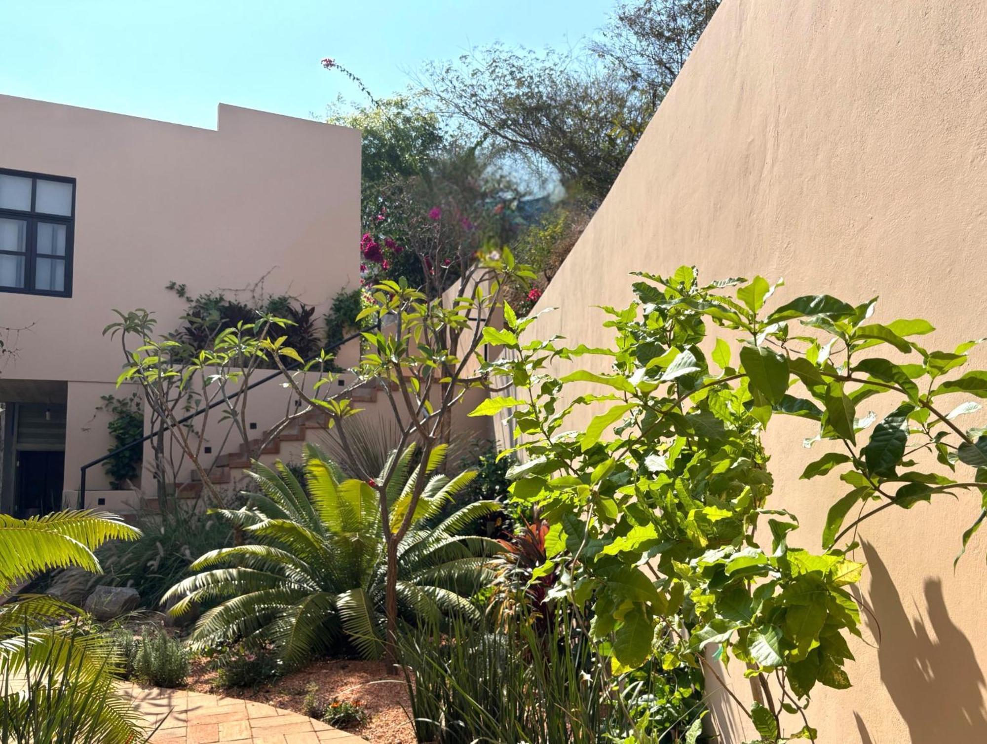 Casa Las Almas Mazunte Exteriör bild