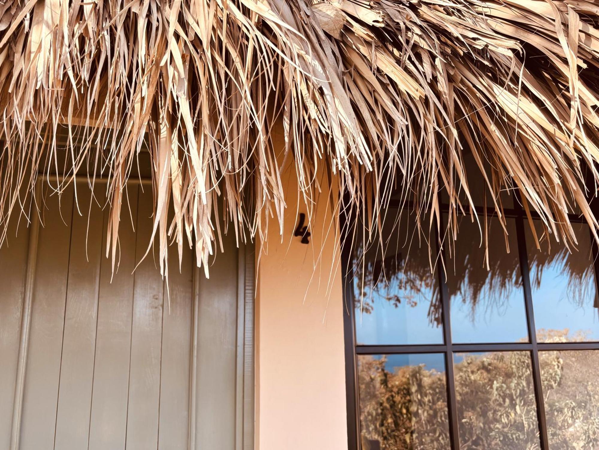 Casa Las Almas Mazunte Rum bild