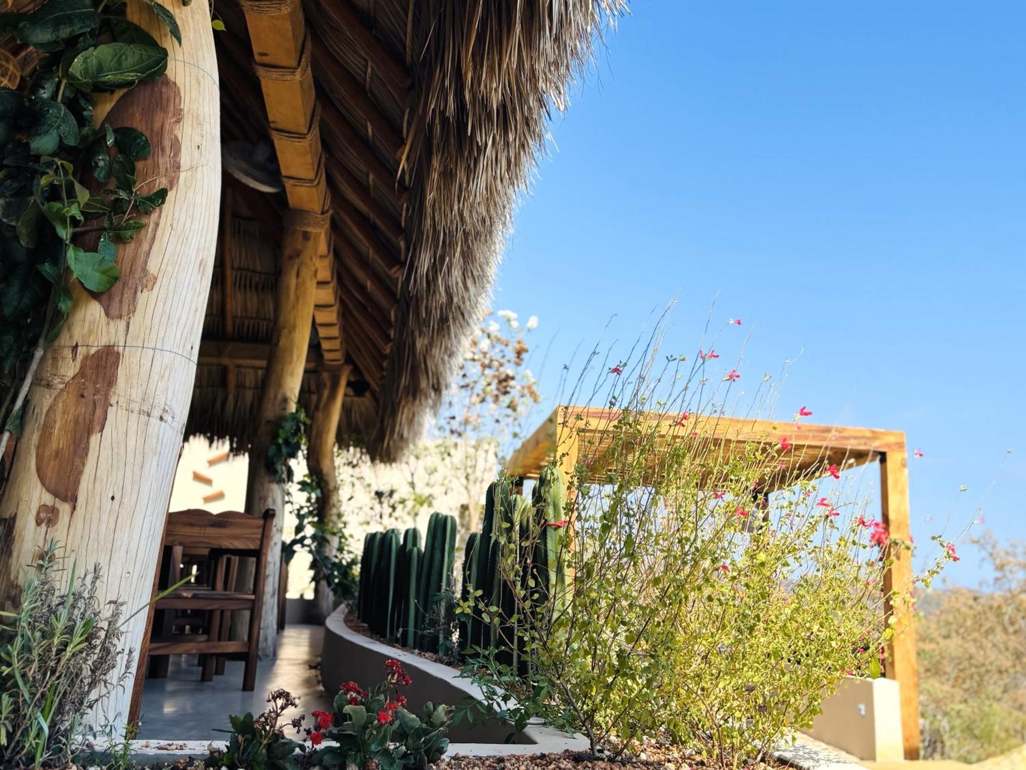 Casa Las Almas Mazunte Exteriör bild